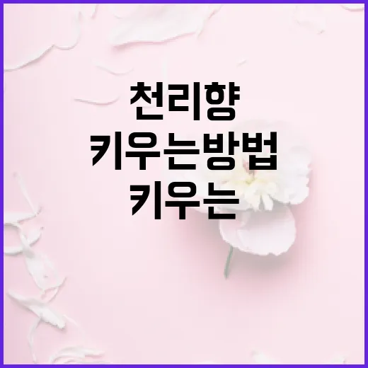 천리향을 건강하게 키우는 방법 - 요약