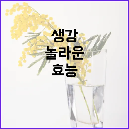 생강의 놀라운 건강 효능을 활용하는 방법 - 요약
