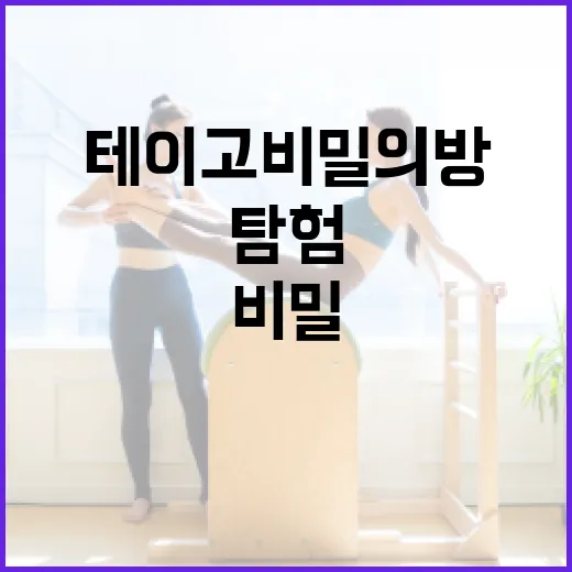 테이고 비밀의방을 탐험하는 방법 - 요약