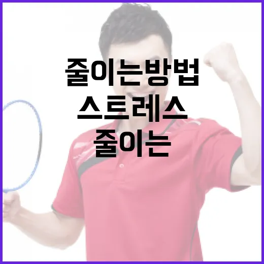 볼꾸를 활용하여 스트레스를 줄이는 방법 - 요약
