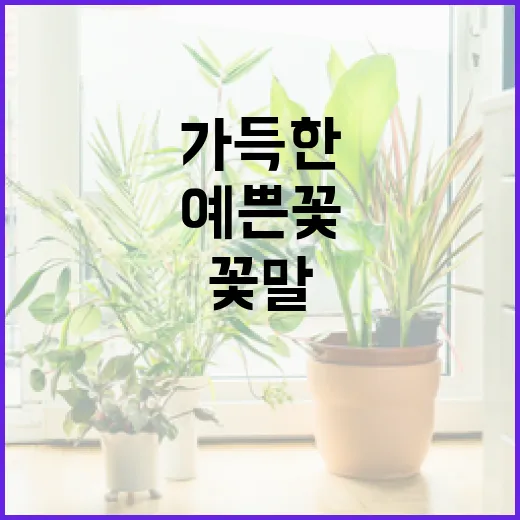 꽃말이 예쁜 꽃으로 감성 가득한 정원 만드는 방법 - 요약