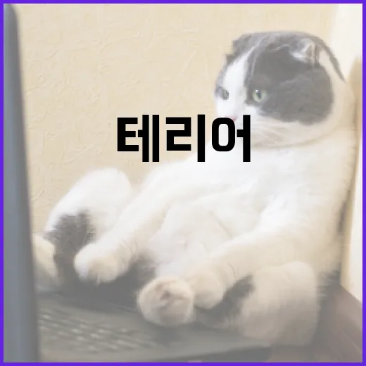 화이트테리어로 집을 밝게 꾸미는 방법 - 요약