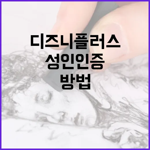 디즈니플러스 성인인증을 설정하는 방법 - 요약