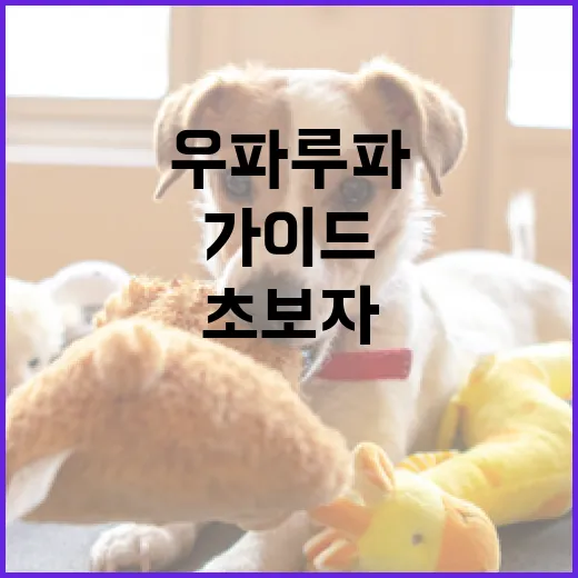 이반시티에서 즐거운 시간을 보내는 방법 - 요약