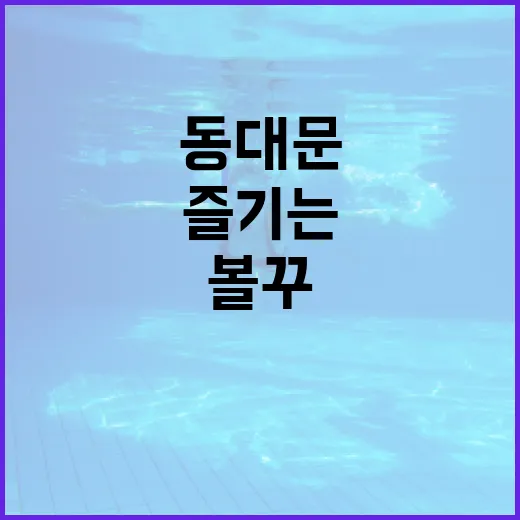 동대문 볼꾸를 제대로 즐기는 방법 - 요약