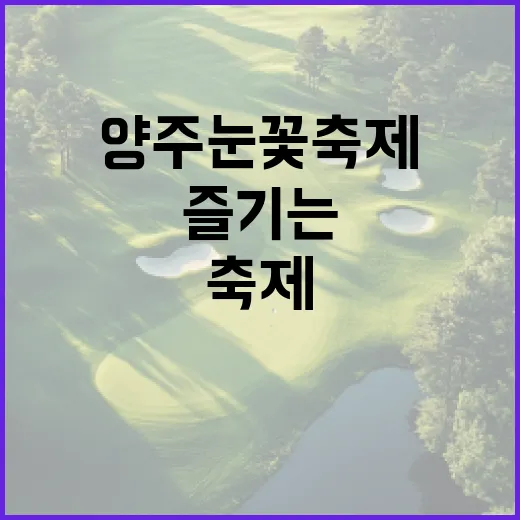 양주 눈꽃축제를 즐기는 방법 - 요약