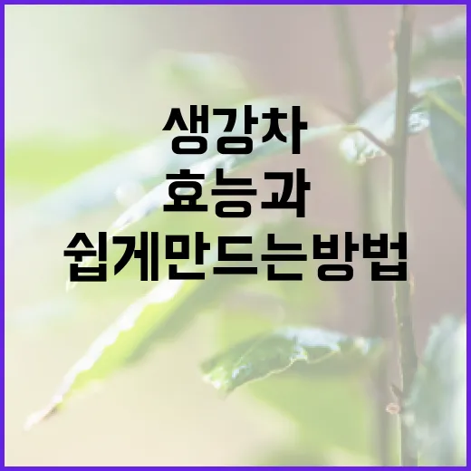 생강차의 효능과 쉽게 만드는 방법 - 요약