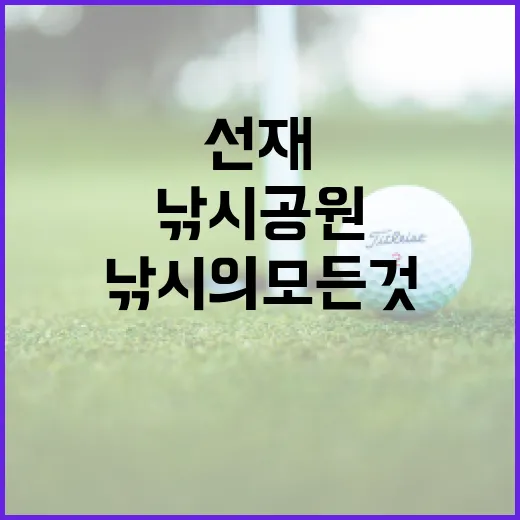 선재낚시공원에서 즐기는 낚시의 모든 것 - 요약