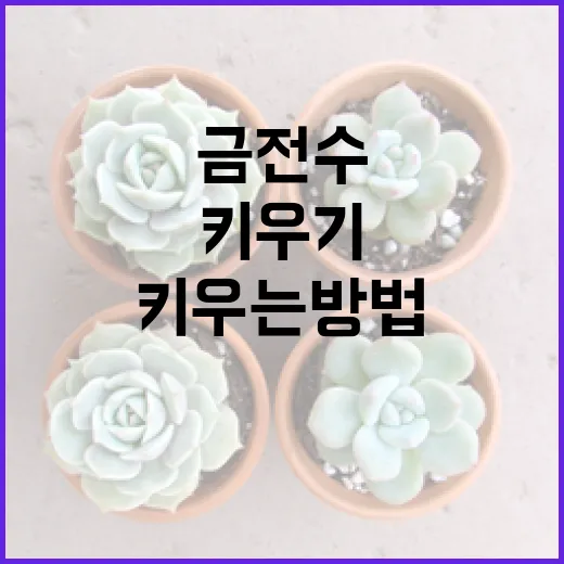 금전수 키우는 방법: 건강하고 풍성하게 키우기 - 요약