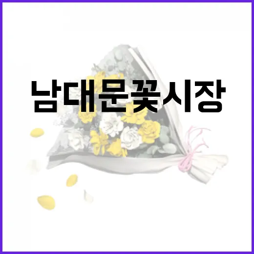 남대문 꽃시장에서 꽃 쇼핑하는 방법 - 요약