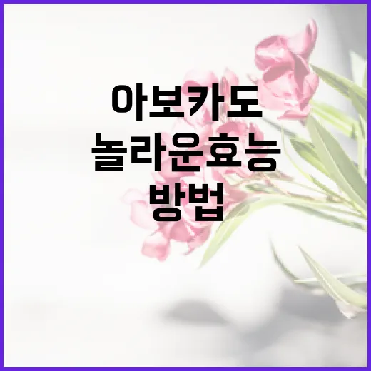 아보카도의 놀라운 효능을 최대한 활용하는 방법 - 요약