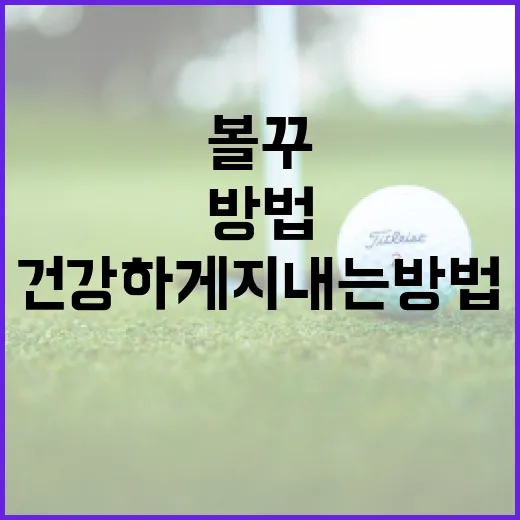볼꾸를 활용하여 건강하게 지내는 방법 - 요약