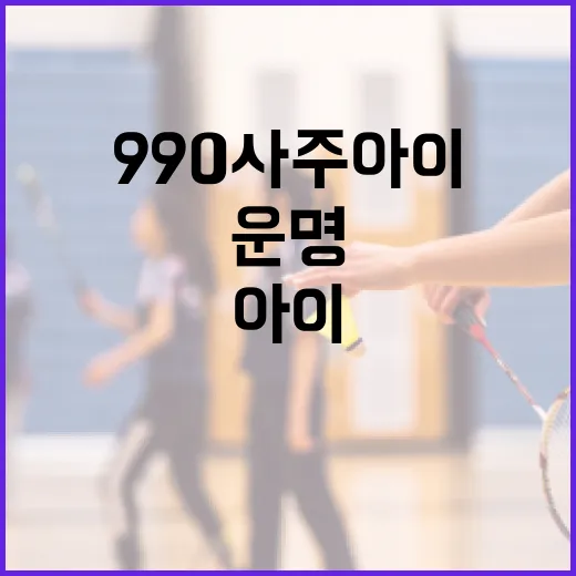 990사주아이로 나만의 운명 알아보는 방법 - 요약