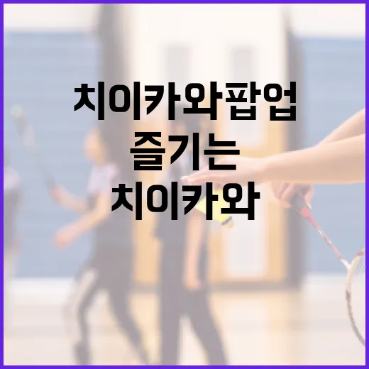 치이카와 팝업 이벤트를 즐기는 방법 - 요약