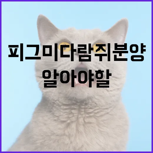 피그미다람쥐 분양을 고려할 때 알아야 할 사항 - 요약