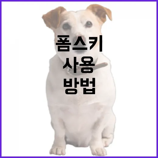 폼스키를 효과적으로 사용하는 방법 - 요약