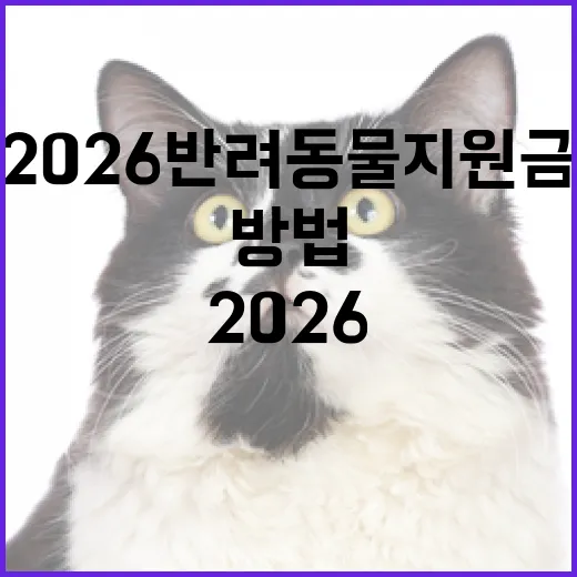 2026 반려동물 지원금을 받는 방법 - 요약