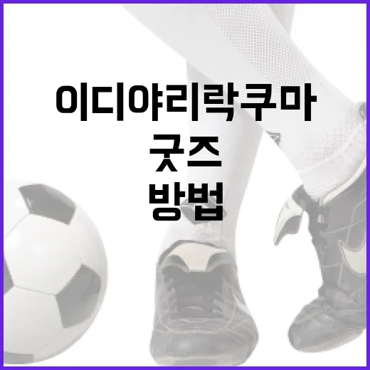 이디야 리락쿠마 굿즈를 즐기는 방법 - 요약