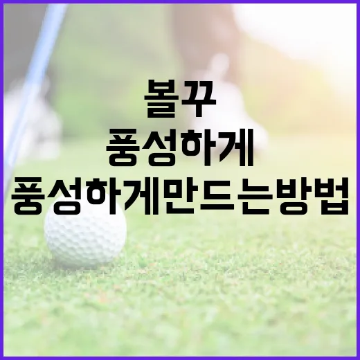볼꾸를 활용하여 매일을 풍성하게 만드는 방법 - 요약