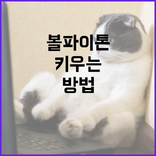 볼파이톤을 집에서 키우는 방법 - 요약