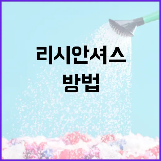 리시안셔스를 아름답게 기르는 방법 - 요약