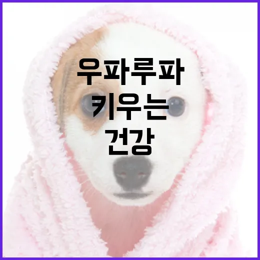 우파루파를 건강하게 키우는 방법 - 요약