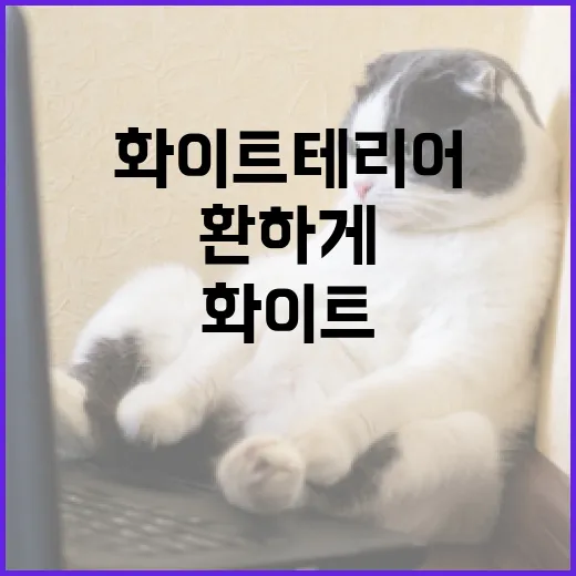 화이트테리어로 집안을 환하게 꾸미는 방법 - 요약