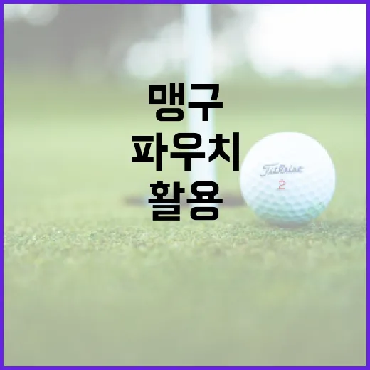 다이소 맹구 파우치를 활용하는 방법 - 요약