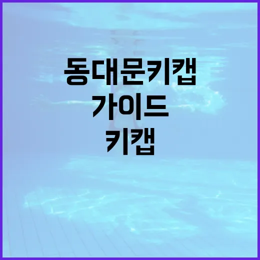 동대문 키캡 쇼핑 완벽 가이드: 초보자를 위한 팁과 추천 - 요약