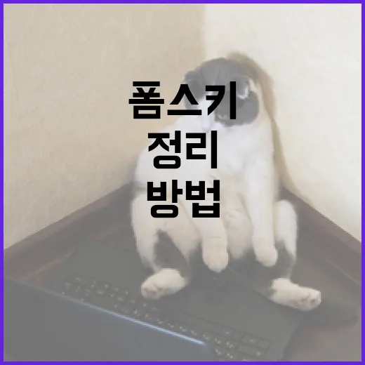 폼스키를 활용하여 집안을 정리하는 방법 - 요약