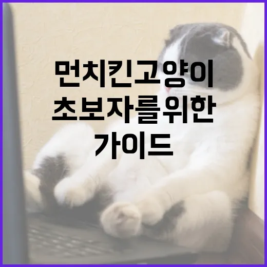 먼치킨 고양이를 키우는 방법: 초보자를 위한 가이드 - 요약