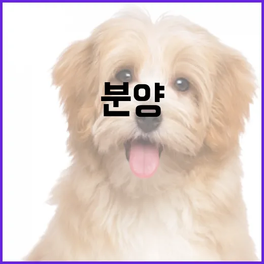 햄스터 분양을 성공적으로 하는 방법 - 요약