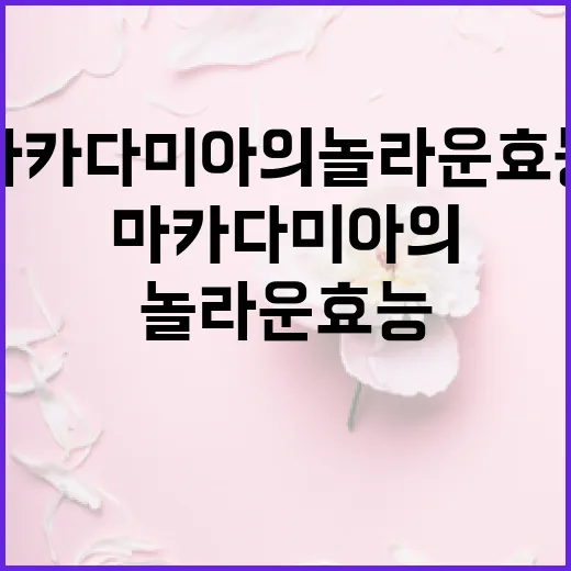 마카다미아의 놀라운 효능을 알아보는 방법 - 요약