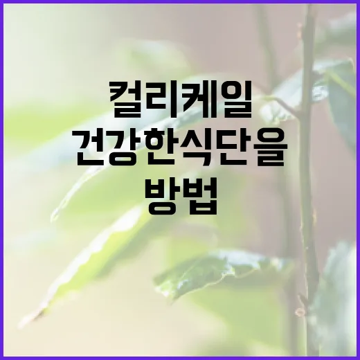 컬리케일을 활용하여 건강한 식단을 만드는 방법 - 요약