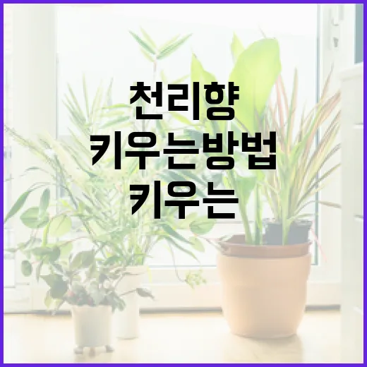 천리향을 건강하게 키우는 방법 - 요약