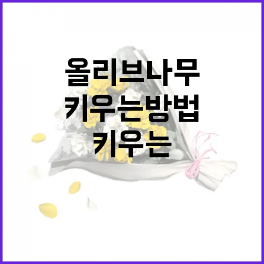 올리브나무를 건강하게 키우는 방법 - 요약