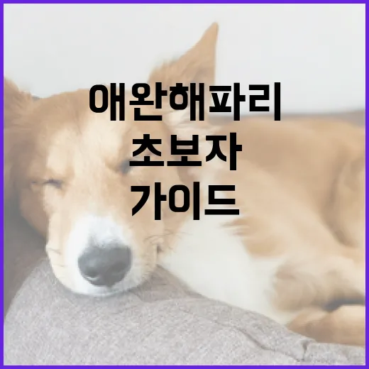 애완 해파리를 키우는 방법: 초보자를 위한 가이드 - 요약