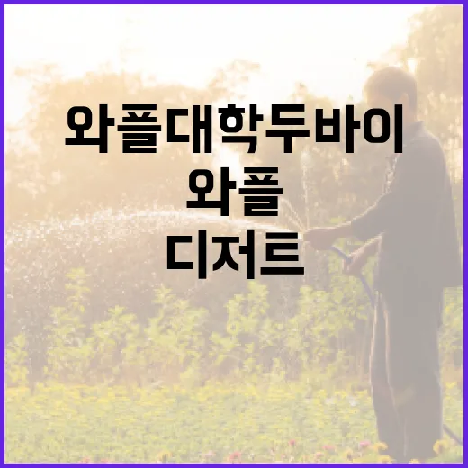 와플대학 두바이에서 즐기는 완벽한 디저트 경험 방법 - 요약