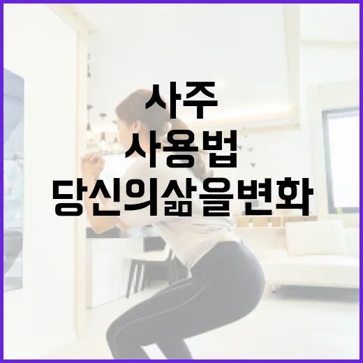 사주아이 사용법: 당신의 삶을 변화시키는 방법 - 요약