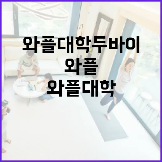 와플대학 두바이에서 즐기는 맛있는 와플 여행 방법 - 요약