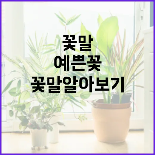 예쁜 꽃의 꽃말 알아보기: 당신의 정원에 의미를 더하는 방법 - 요약