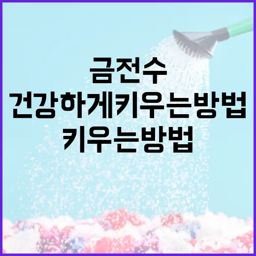 금전수 건강하게 키우는 방법 - 요약