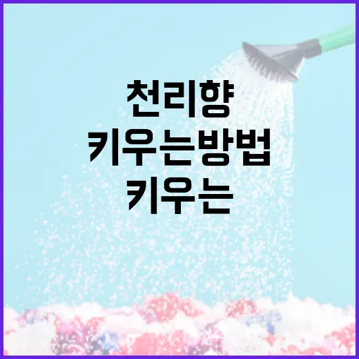 천리향을 건강하게 키우는 방법 - 요약