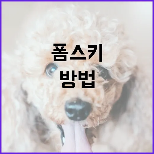 폼스키를 효율적으로 사용하는 방법 - 요약