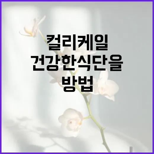 컬리케일을 활용하여 건강한 식단을 만드는 방법 - 요약