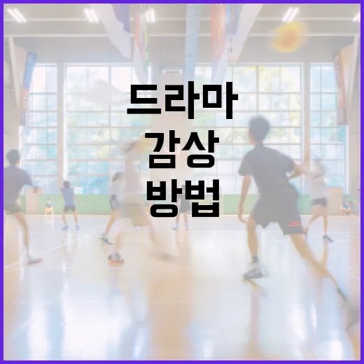 드라마박스로 나만의 드라마 감상 공간 만드는 방법 - 요약