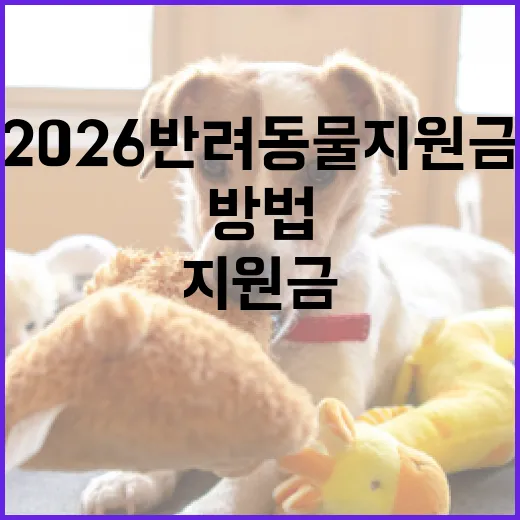 2026 반려동물 지원금을 받는 방법 - 요약