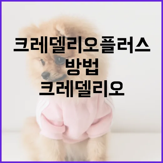 크레델리오 플러스를 사용하는 방법과 팁 - 요약