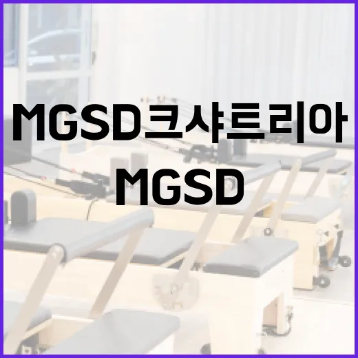 MGSD 크샤트리아 조립하는 방법 - 요약