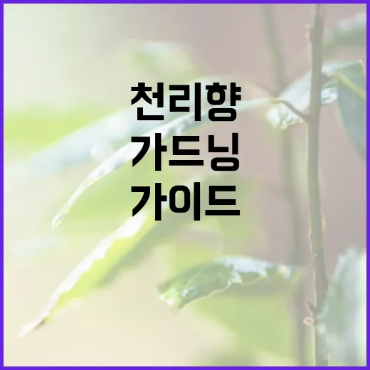 천리향을 키우는 방법: 홈 가드닝 초보자를 위한 가이드 - 요약